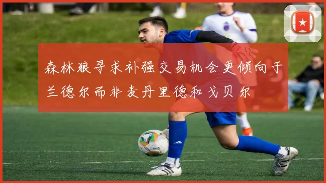 森林狼寻求补强交易机会更倾向于兰德尔而非麦丹里德和戈贝尔