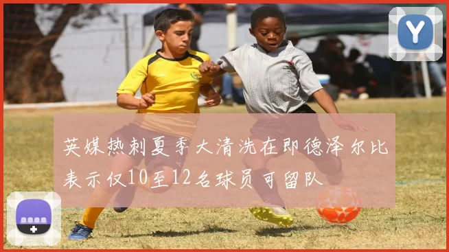英媒热刺夏季大清洗在即德泽尔比表示仅10至12名球员可留队